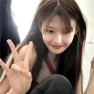 完美的独裁国家