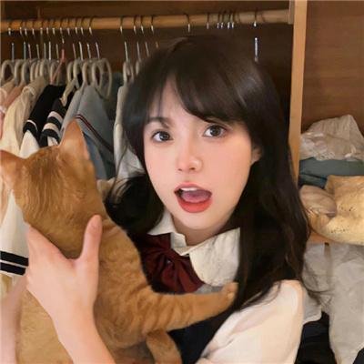 携带狗的猫