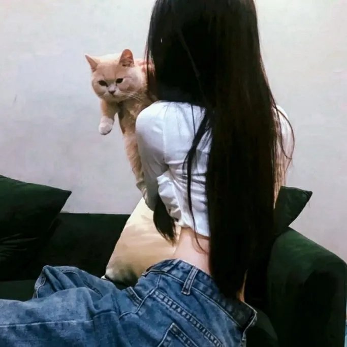 坏蛋狐狸的故事